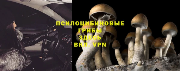 МДПВ Балахна