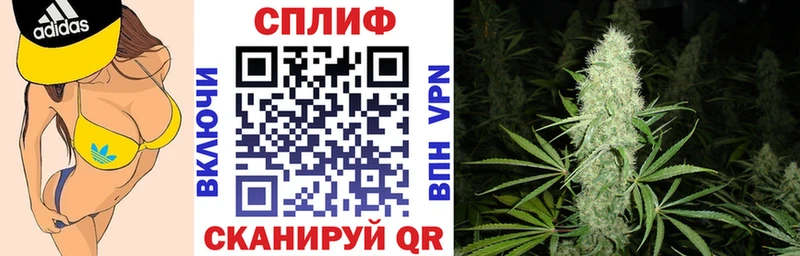Каннабис конопля  Купить закладки  Верея 